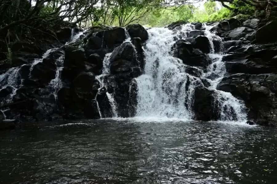 Valle Adventure Park Full Day - Should You Book the Valle Adventure Park Full Day?