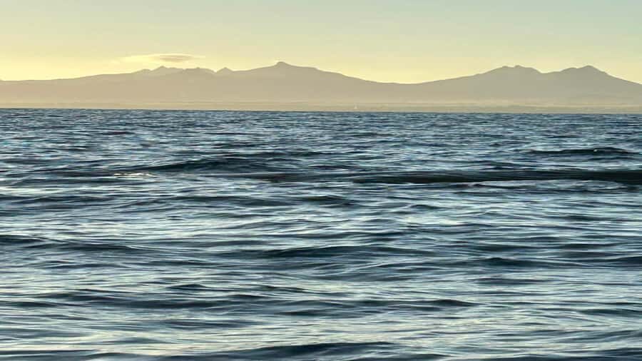 Whale & Dolphins Swimming - Private Speedboat Exclusive Tour - What to Pack and How to Prep in Advance