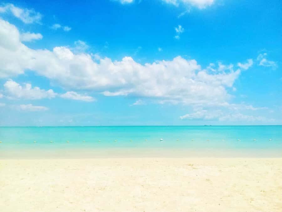 Wild Dolphin Swim & 4 Northern Beaches with Transportation - The Aquarium Snorkel Stop: Time-Permitting Reef Views