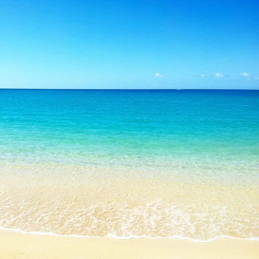 Wild Dolphin Swim & 4 Northern Beaches with Transportation - Pereybere Beach: Popular Town Energy and Slightly Deeper Water
