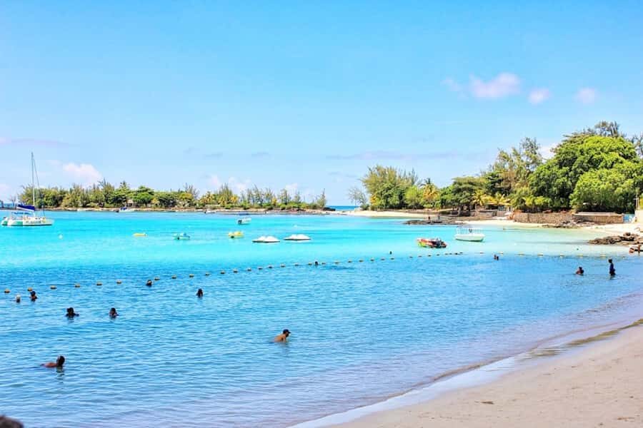 Wild Dolphin Swim & 4 Northern Beaches with Transportation - Price and Value: Is $143 Worth It?